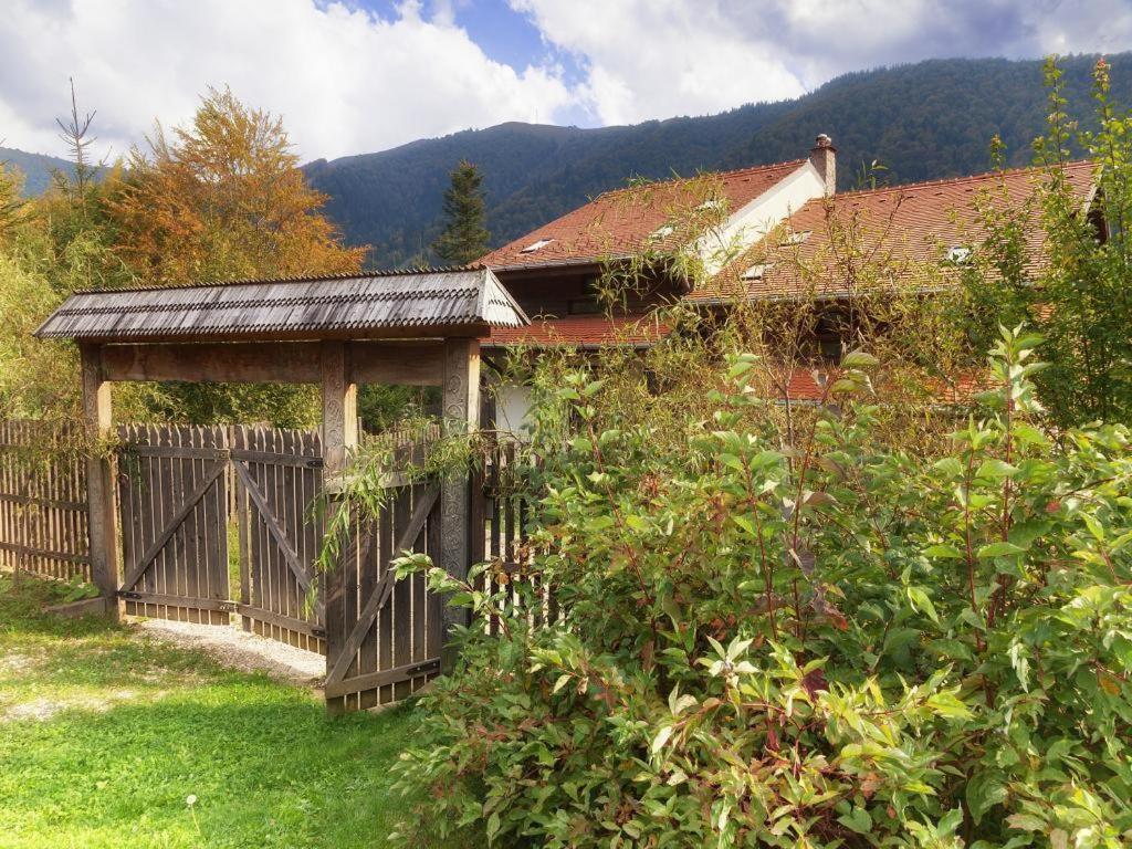 Vila Casa Ferica Azuga Exteriér fotografie